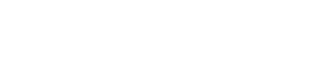 The Pike Agency Logo White